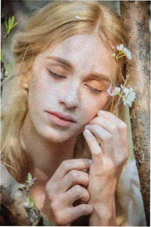 肖申克的救赎